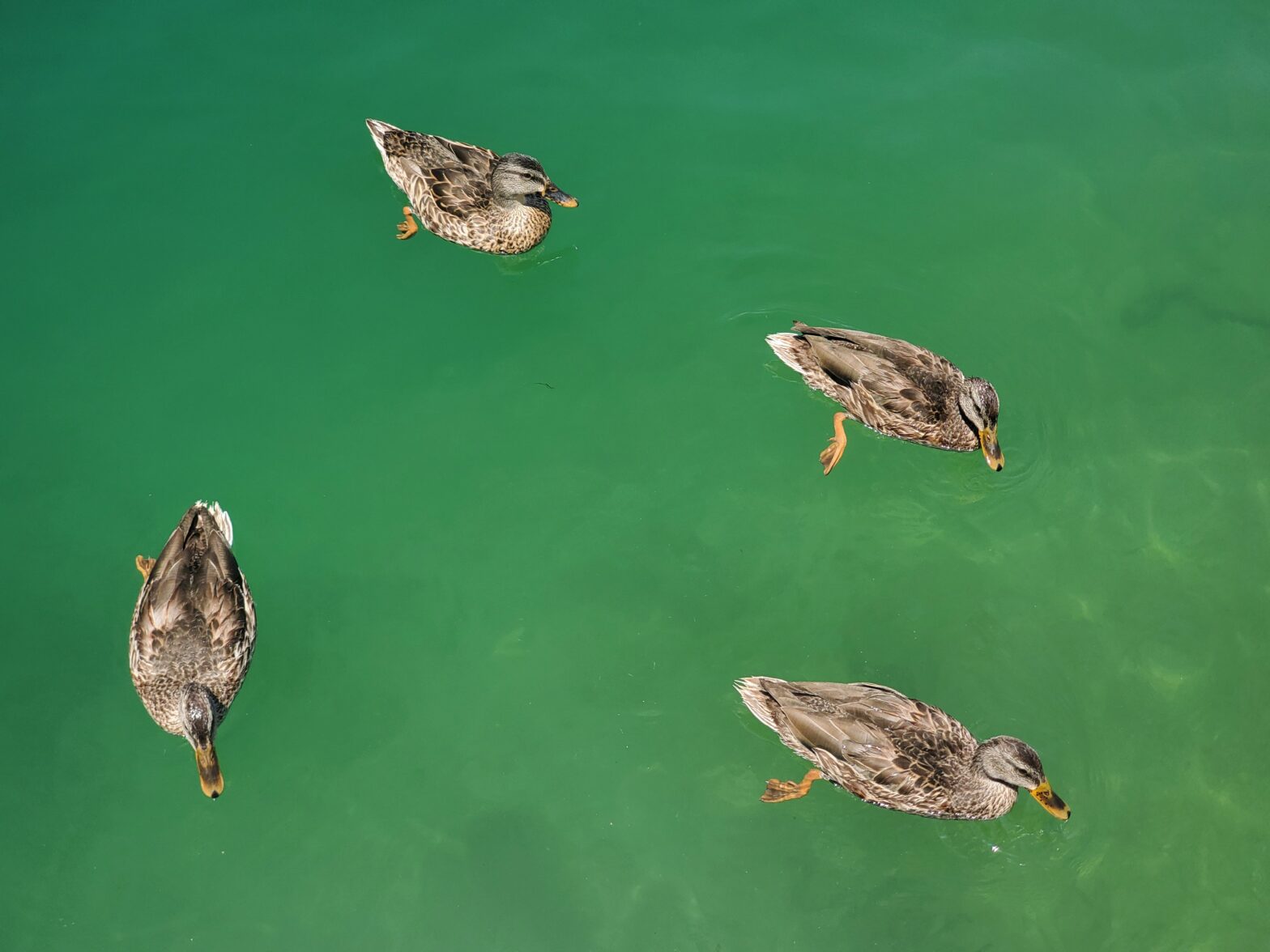 A Step by Step Guide to Life Prioritization