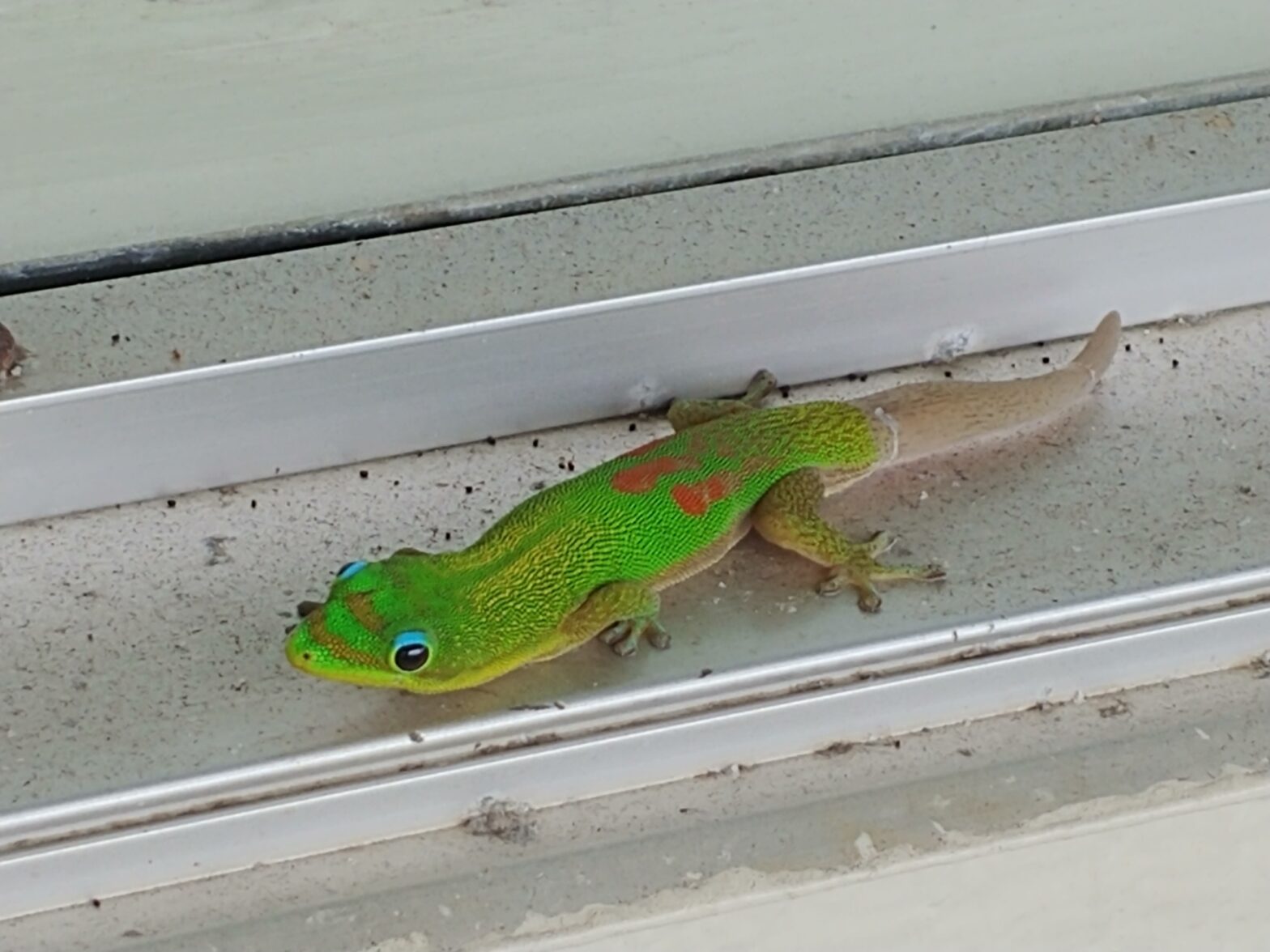 What It’s Like Sharing Properties With Friends