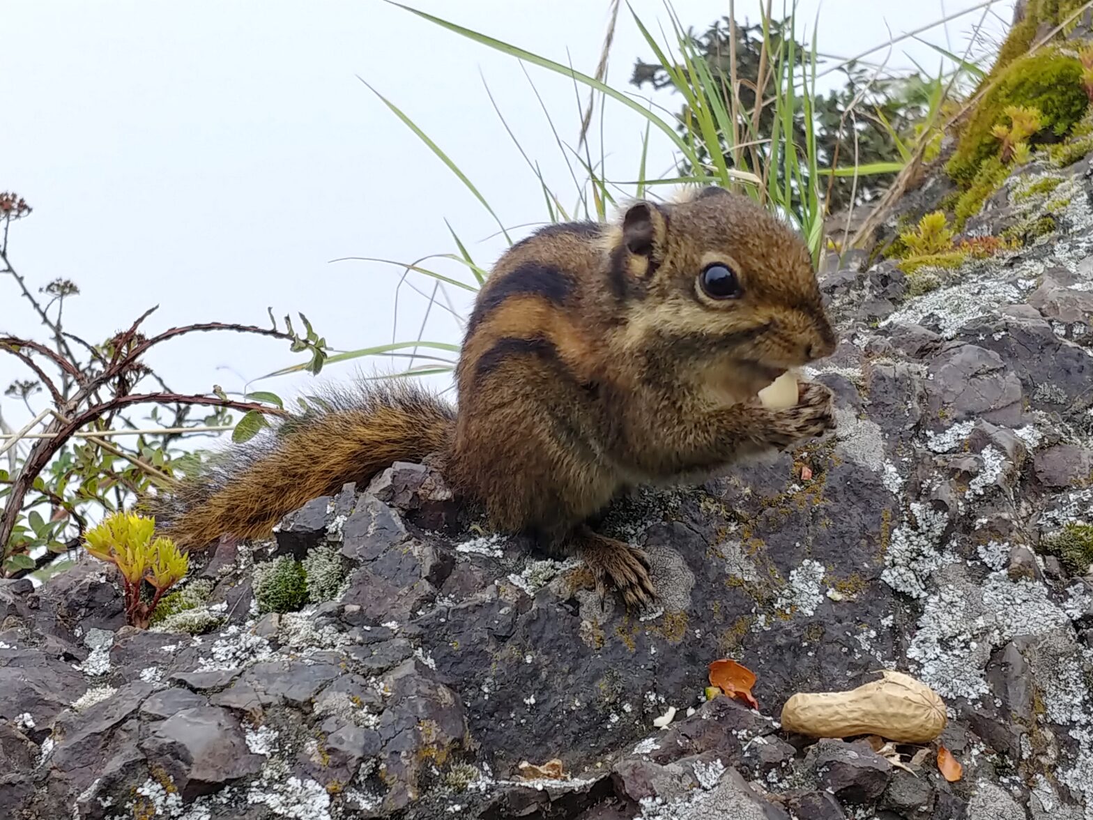 The Starting Out Blueprint