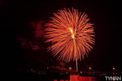 The Five Year Battle With a Domain Squatter for algorix.top