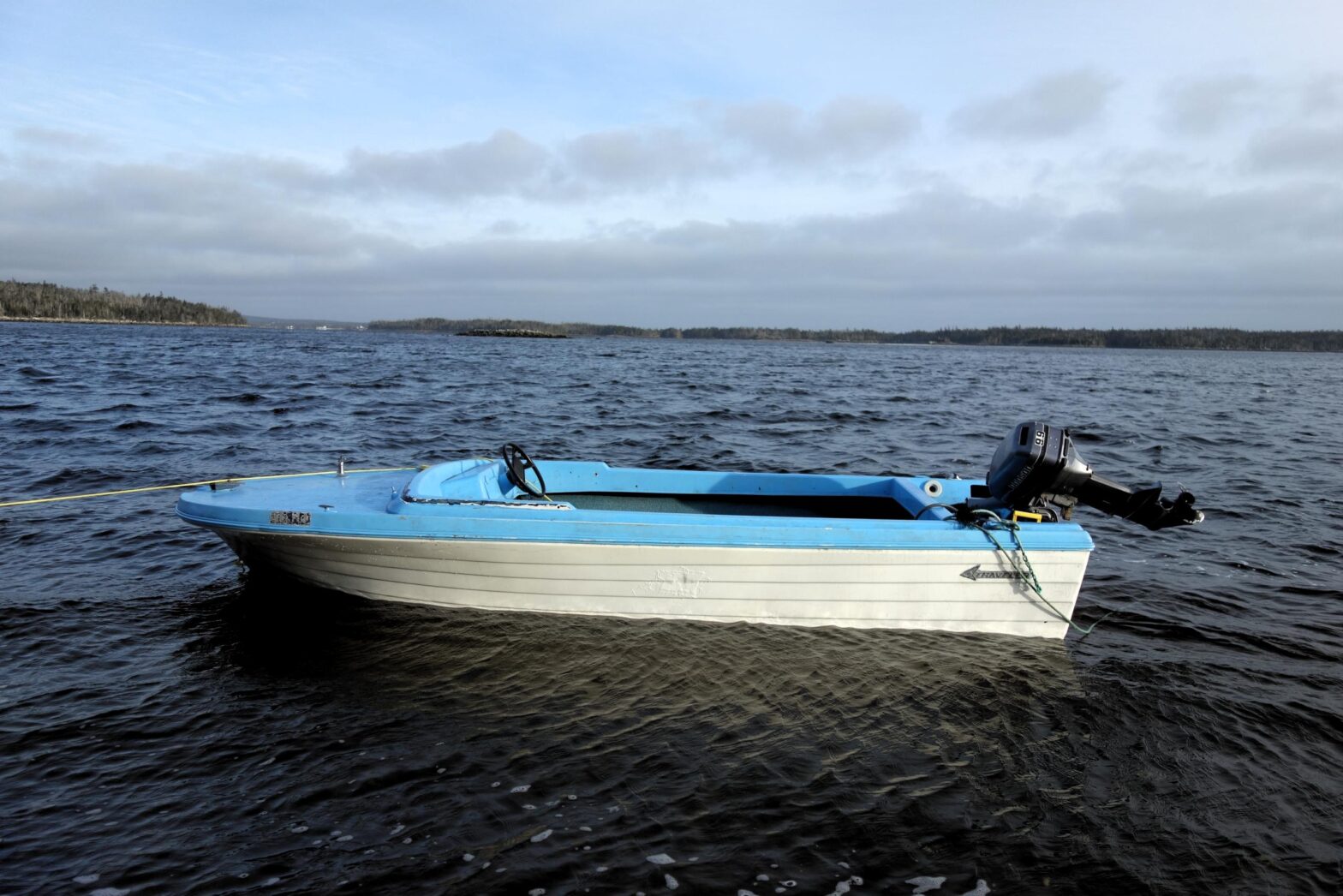 A Rosy Rear-View Mirror