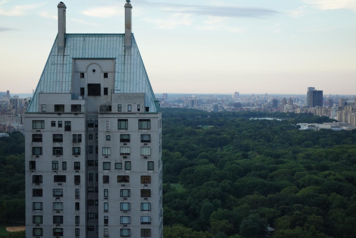 Five Steps to Becoming a Leader