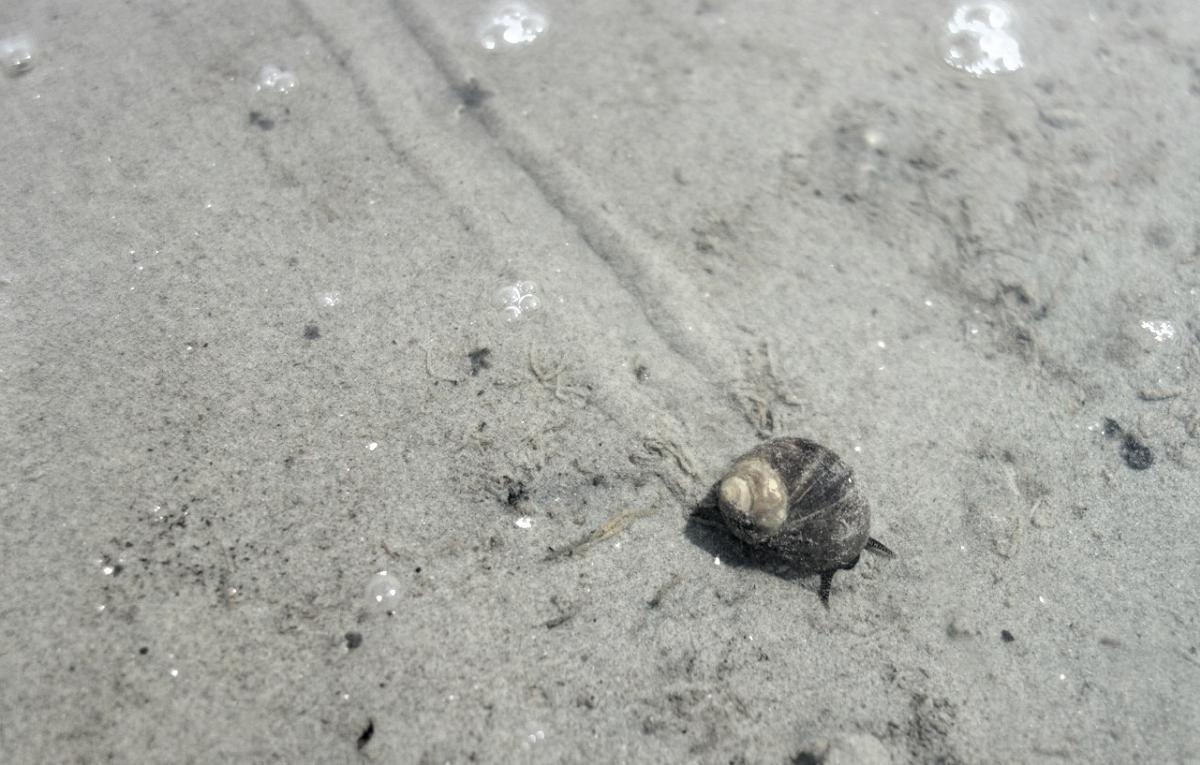 Turning Small Wins into Big Wins