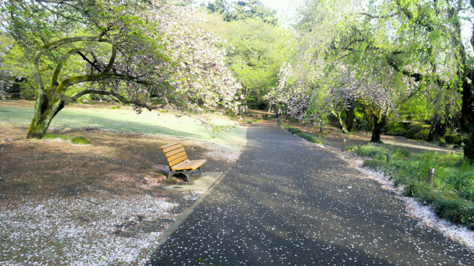 Will I Settle Down? The Third Option