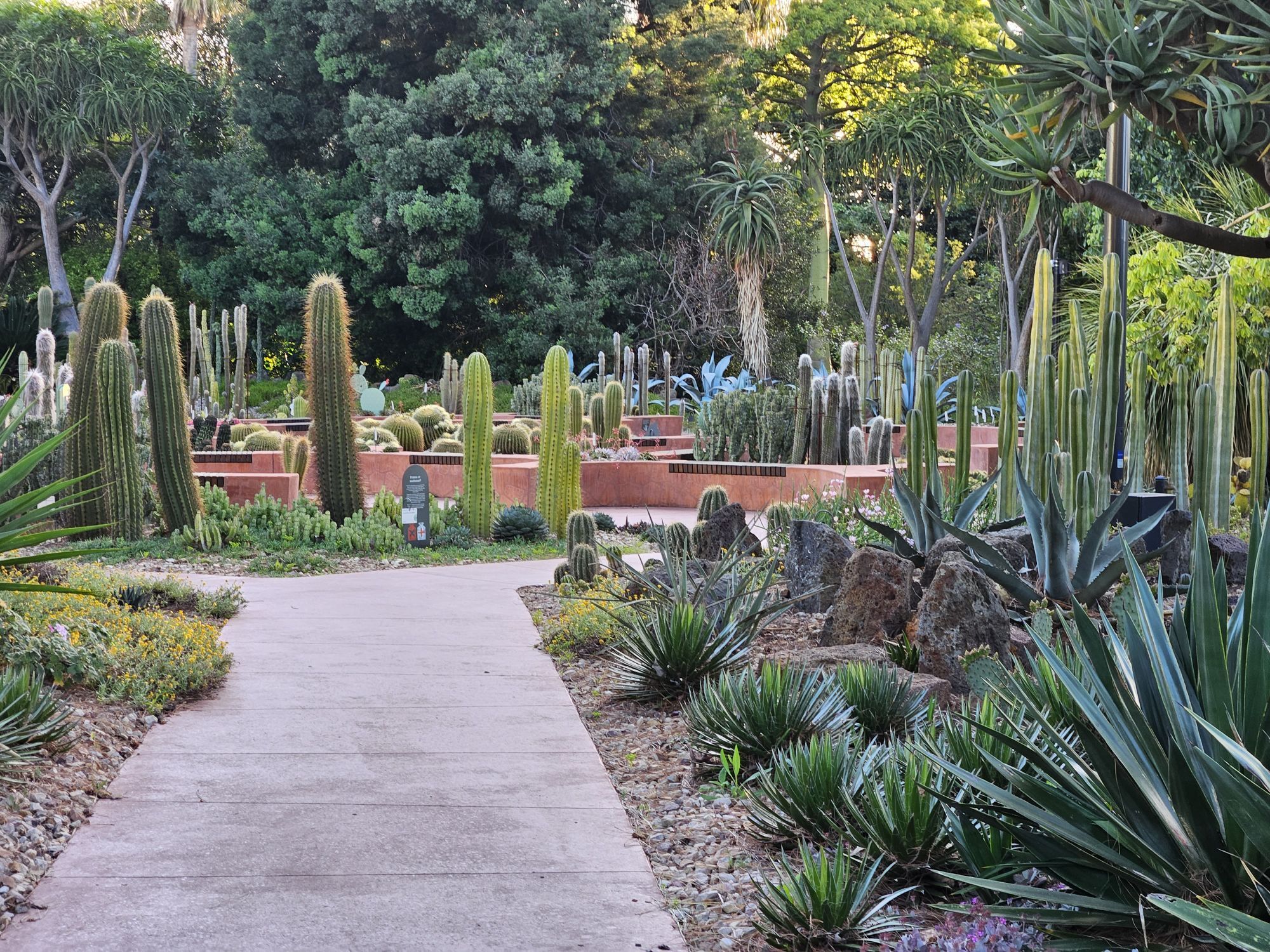 Ten Year Predictions Checked and Made