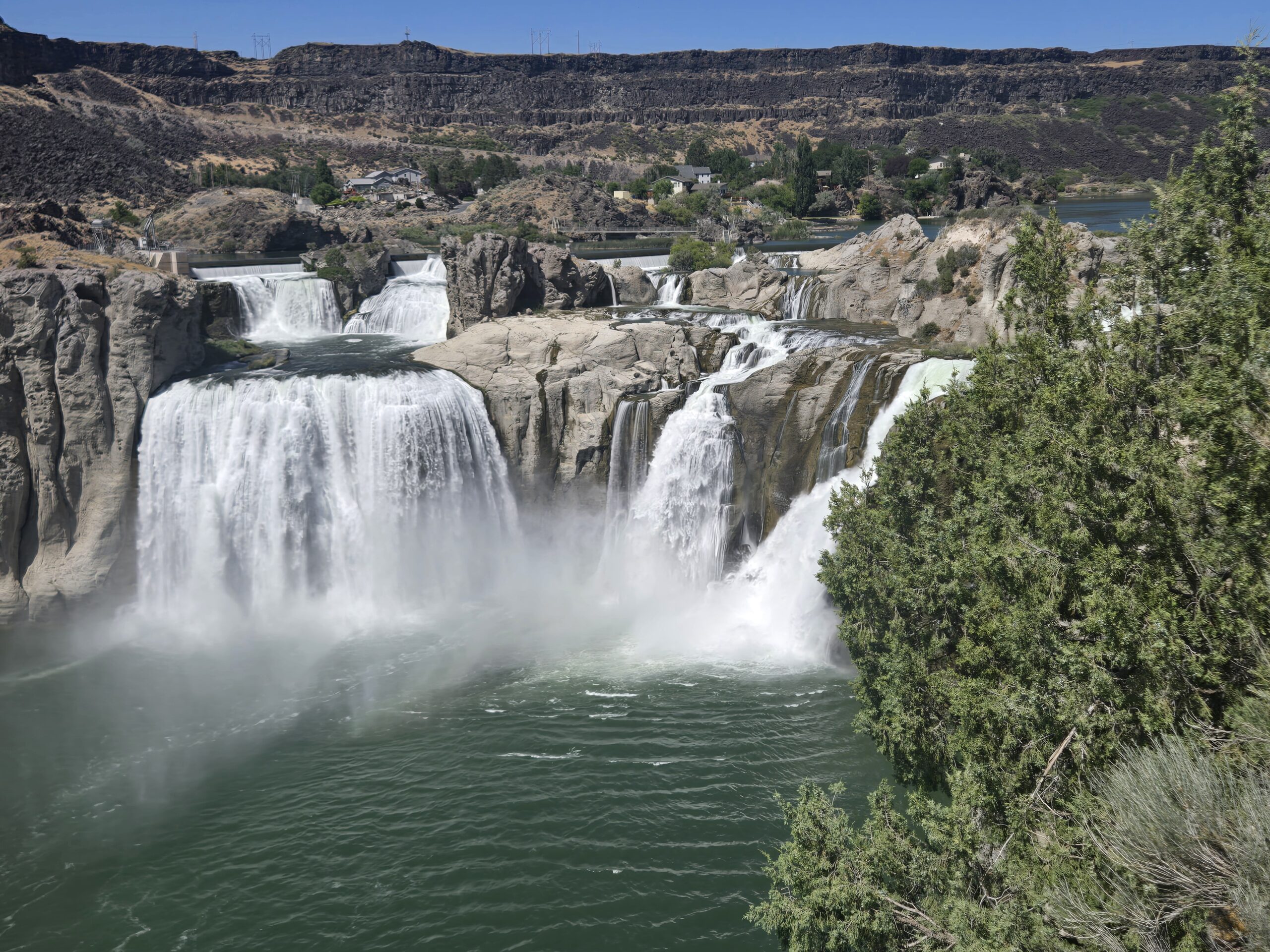 The AI Window is Now